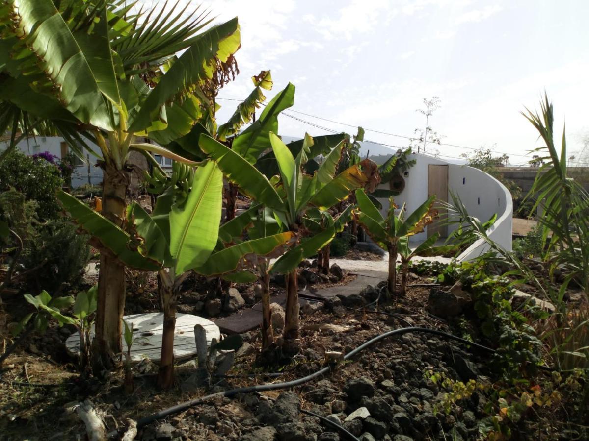 Eco Camping Nueva Vida Konuk evi Chío Dış mekan fotoğraf