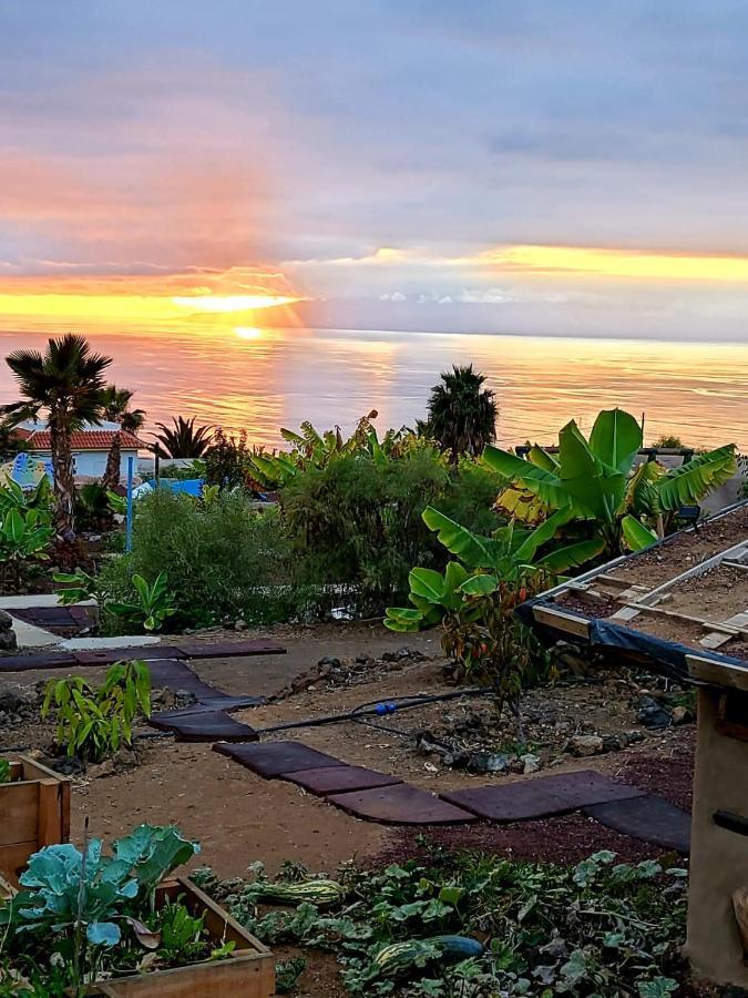 Eco Camping Nueva Vida Konuk evi Chío Dış mekan fotoğraf