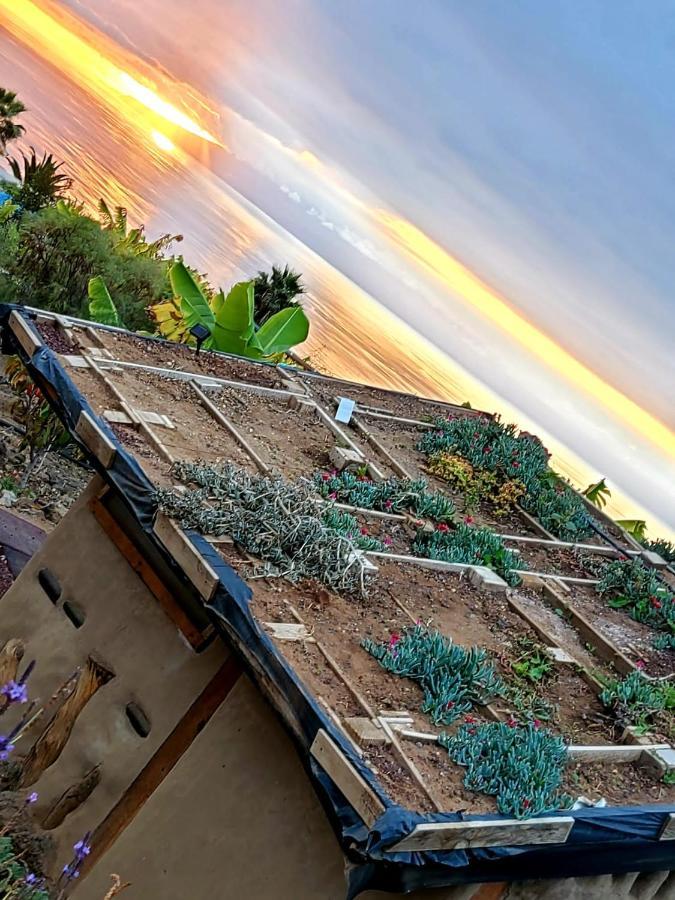 Eco Camping Nueva Vida Konuk evi Chío Dış mekan fotoğraf