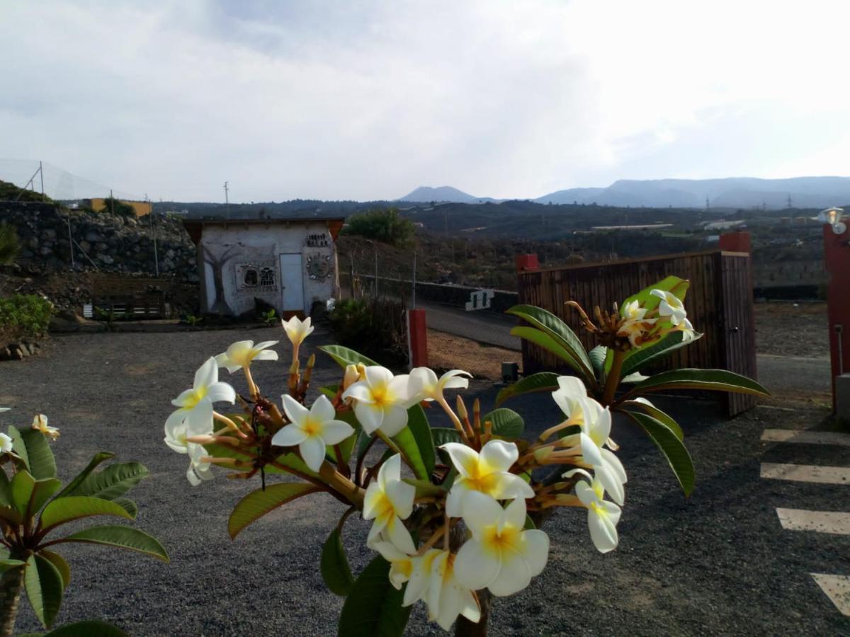 Eco Camping Nueva Vida Konuk evi Chío Dış mekan fotoğraf