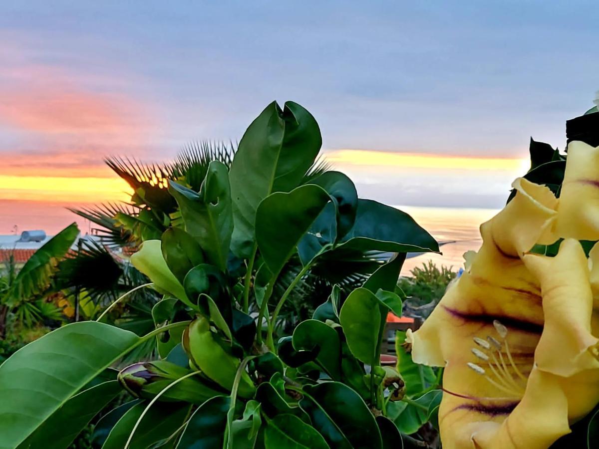 Eco Camping Nueva Vida Konuk evi Chío Dış mekan fotoğraf