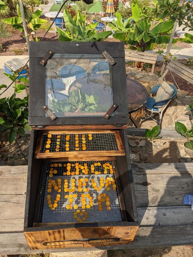 Eco Camping Nueva Vida Konuk evi Chío Dış mekan fotoğraf