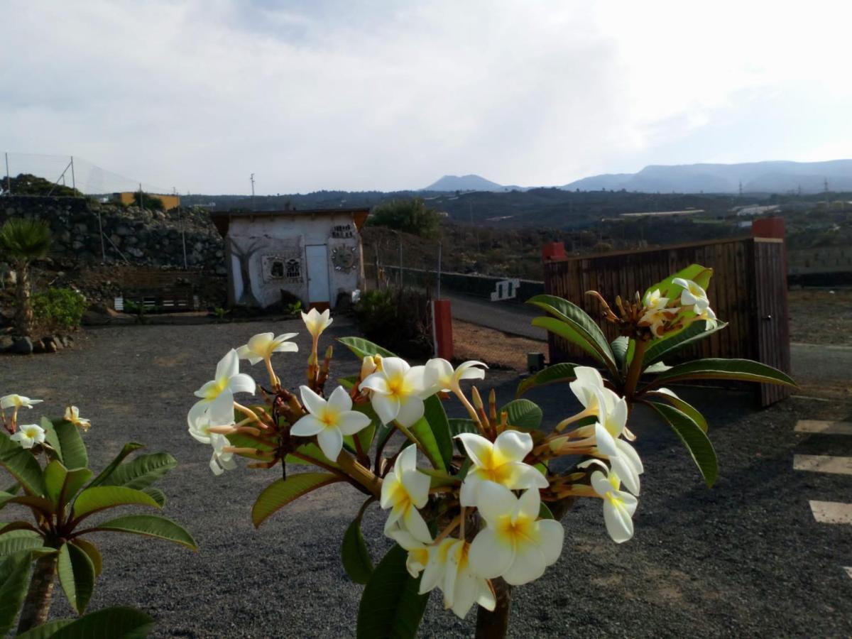 Eco Camping Nueva Vida Konuk evi Chío Dış mekan fotoğraf